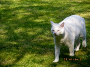 IMGP1855 (1024x768).jpg