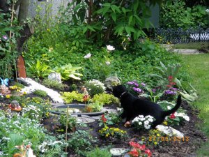 IMGP1862 (1024x768).jpg