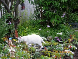 IMGP1865 (1024x768).jpg