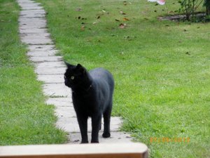 IMGP1867 (1024x768).jpg