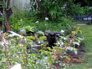 IMGP1868 (1024x768).jpg