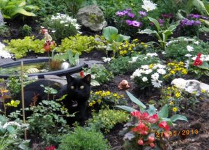 IMGP1869 (1024x768).jpg