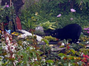 IMGP1875 (1024x768).jpg