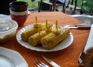 IMGP1876 (1024x768).jpg