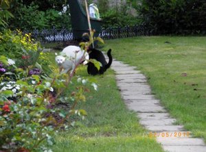 IMGP1880 (1024x768).jpg