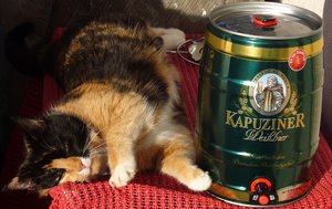 Kitty Kulmbach 1.jpg