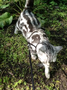 2013-05-27 16.52.51.jpg