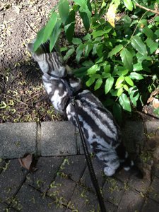 2013-05-27 16.24.43.jpg