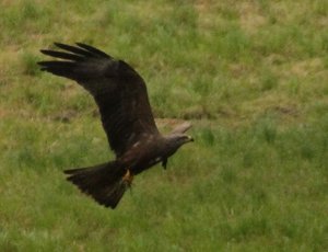 ImageUploadedByTapatalk 21369853539.186610.jpg