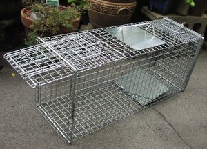 trap full lo res.jpg