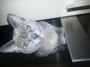 20130523_170759 (1).jpg