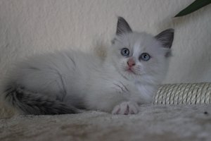 IMG_2471.jpg IMG_2471.jpg