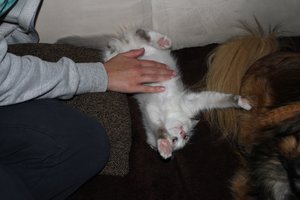 IMG_2802.jpg IMG_2802.jpg