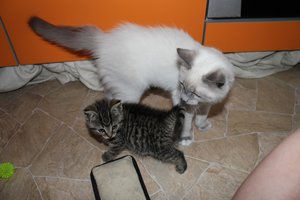 IMG_3571.jpg IMG_3571.jpg