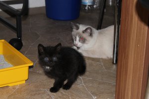 IMG_3562.jpg IMG_3562.jpg