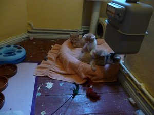 Kopie von P1050398.JPG