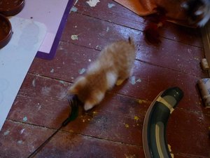 Kopie von P1050400.JPG