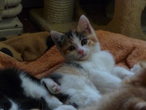 Kopie von P1050409.JPG