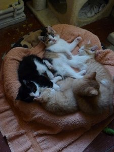 Kopie von P1050412.JPG