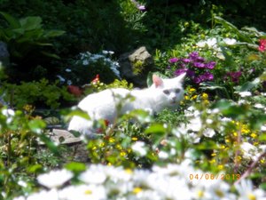 IMGP1923 (1024x768).jpg