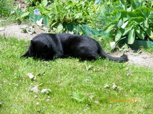 IMGP1928 (1024x768).jpg