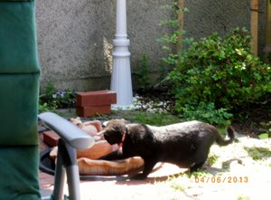 IMGP1918 (1024x755).jpg