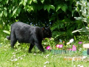 IMGP1948 (1024x767).jpg