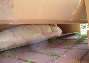 IMGP1951 (1024x725).jpg