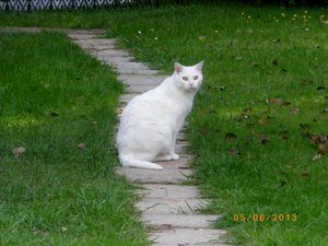 IMGP1959 (1024x767).jpg