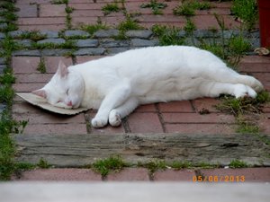 IMGP1966 (1024x766).jpg