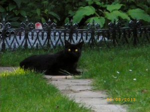 IMGP1967 (1024x765).jpg