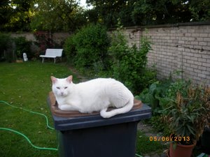 IMGP1973 (1024x768).jpg