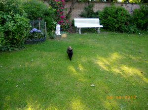 IMGP1976 (1024x756).jpg