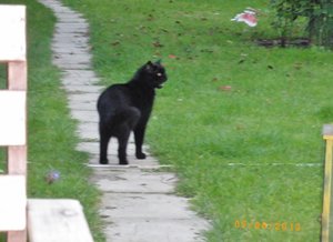 IMGP1981 (1024x744).jpg