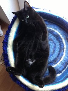 ImageUploadedByTapatalk 21370495581.323604.jpg