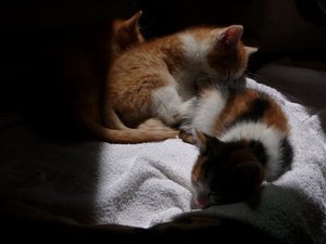 Kopie von P1050418.JPG