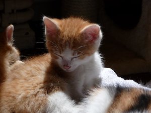 Kopie von P1050421.JPG