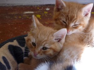 Kopie von P1050431.JPG