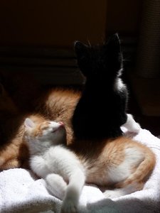 Kopie von P1050440.JPG