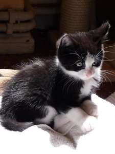 Kopie von P1050443.JPG