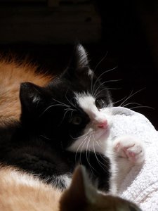 Kopie von P1050435.JPG