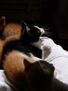 Kopie von P1050437.JPG