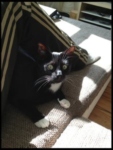 ImageUploadedByTapatalk 21370554320.781371.jpg