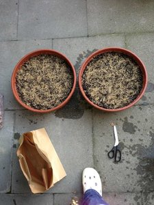 ImageUploadedByTapatalk 21370582434.428067.jpg