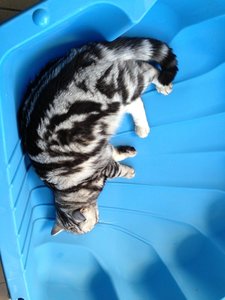 2013-06-05 19.13.47.jpg