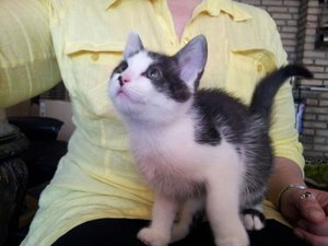 Helmi und die anderen Racker 136.jpg