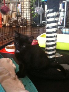 Helmi und die anderen Racker 135.jpg