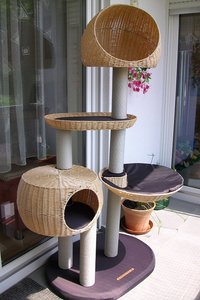 ALIM4502.JPG ALIM4502.JPG