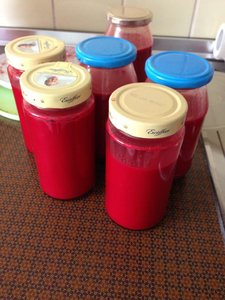 ImageUploadedByTapatalk 21370707990.869435.jpg