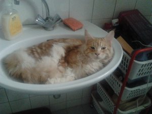 2013-01-25 12.33.05.jpg